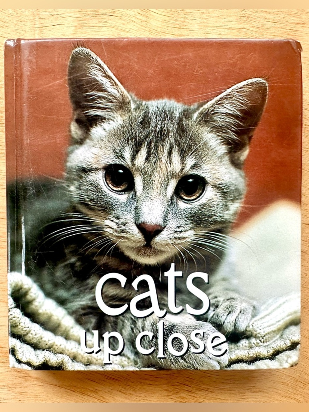 Cats Up Close Book Vicki Croke Hardcover Abbeville Press Cat Lover Gift